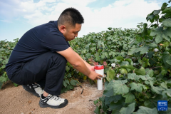 动种植养殖、精湛加工、文旅消费深度融合